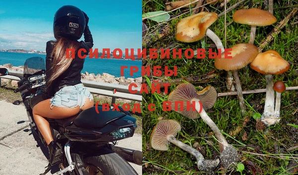 COCAINE Белоозёрский