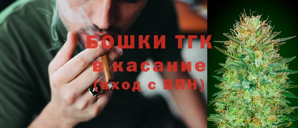 дживик Богородицк