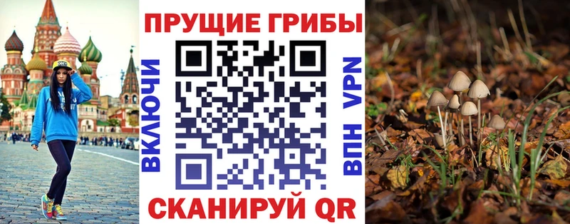 купить наркотики цена  Мамадыш  Галлюциногенные грибы прущие грибы 